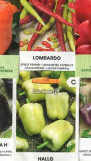 Kinkekomplekt paprikasõbrale - 6 pakki erinevaid paprikaseemneid ja kinkekott!