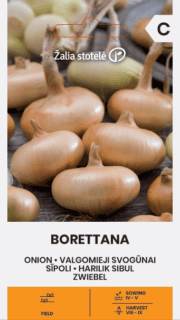 Sibul "Borettana"
