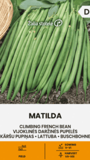 Lattuba "Matilda"