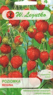 Aedmaasikas "Treska" / "Tresca"