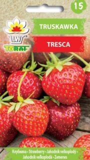 Aedmaasikas "Treska" / "Tresca"