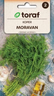 Aedtill "Moravan"
