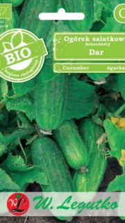 Põõsaskurk "Dar"