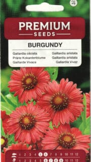 Ohtene mõrsjalill "Burgundy"