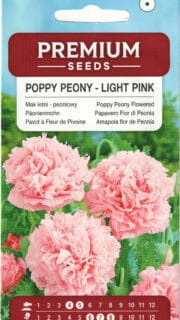 Pojengiõieline unimagun  "Light Pink"