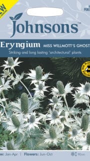 Hiid-ogaputk  "Miss Willmott`s Ghost"