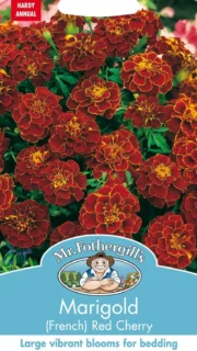 Peiulill "Red Cherry"