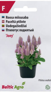 Roosa miisusaba "Joey"