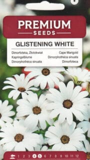 Oranž kuldlill "White"