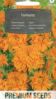 Peiulill "Fantastic"