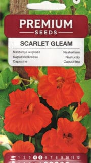 Suur mungalill  "Scarlet Gleam"