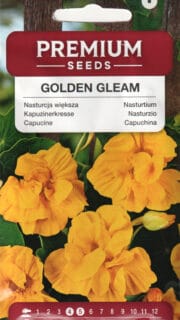 Suur mungalill  "Golden Gleam"