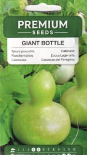 Dekoratiivkõrvits "Giant Bottle"