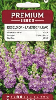 Levkoi "Lavender Lilac"