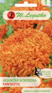 Peiulill "Fantastic"