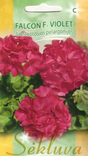 Viirpelargoon "Falcon Vailit" / "Falcon Violet" F1