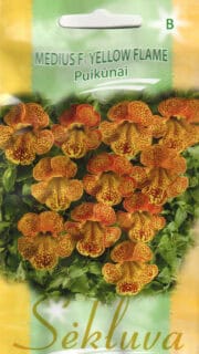 Pärdiklill "Medius Yellow Flame" F1