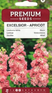 Levkoi "Excelsior Apricot"