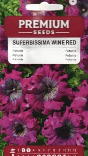 Petuunia "Superbissima Wine Red" F1