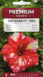Petuunia "Dot Star Red" F1