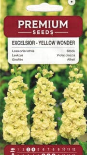 Levkoi "Excelsior Yellow Wonder"