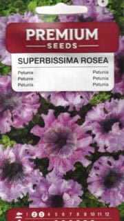 Petuunia "Superbissima Rosea" F1