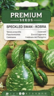 Dekoratiivkõrvits "Kobra"