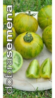 Tomat "Green Zebra" / "Roheline Sebra"