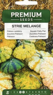 Patisson "Strie Melange"