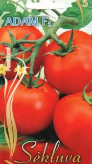 Tomat "Adam" F1