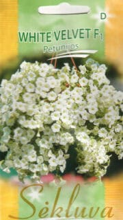 Ripp-petuunia "White Velvet" F1