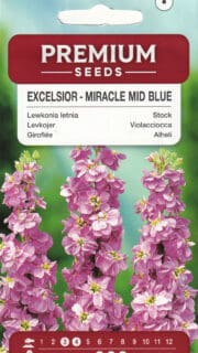 Levkoi "Excelsior Miracle Mid Blue"