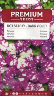 Petuunia "Dot Star Dark Violet" F1