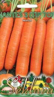 Porgand "Nantes 3" / "Tip-Top"