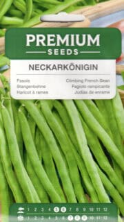 Lattuba "Neckarkönigin"