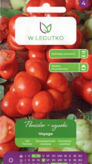 Tomat "Voyage" / "Traveler`s Tomato" / "Reisetomate"