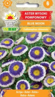 Aster "Blue Moon"