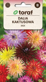 Aeddaalia kaktusõieline segu