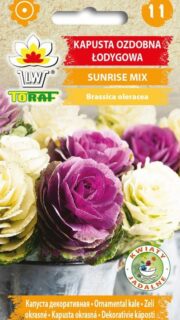 Dekoratiivkapsas "Sunrise Mix"