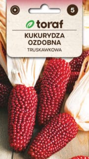 Dekoratiivmais "Red Strawberry Corn"