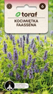 Faasseni naistenõges