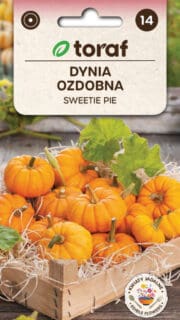 Kõrvits "Sweetie Pie"