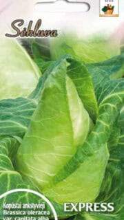 Valge peakapsas "Express"