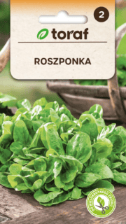 Põldkännak "Verte De Cambrai"