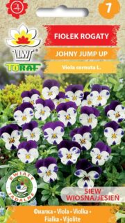 Sarvkannike "Johny Jump Up"