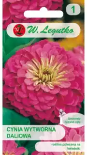 Harilik pruudisõlg daaliaõieline "Illumination"