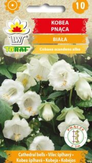 Mehhiko vanikkuljus "White"