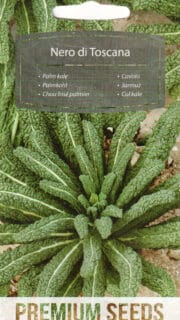 Kähar lehtkapsas "Nero di Toscana"