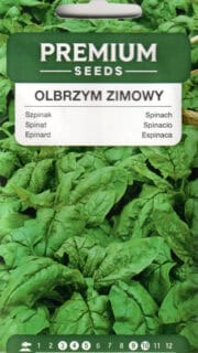 Aedspinat "Giant Winter"