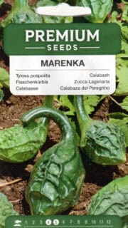 Harilik pudelkõrvits "Marenka"